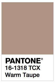 Pantone Warm Taupe