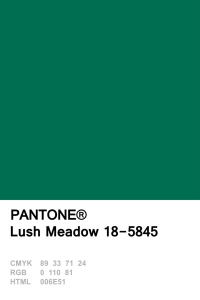 Lush Meadow 